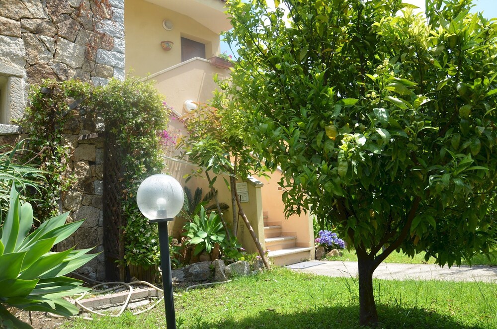 Photo 20