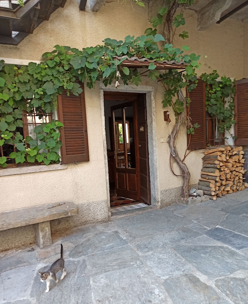 Photo 41