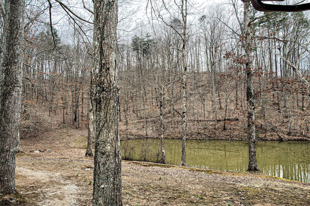 Newly Listed-Private 25-Acre Escape Near Red River Gorge