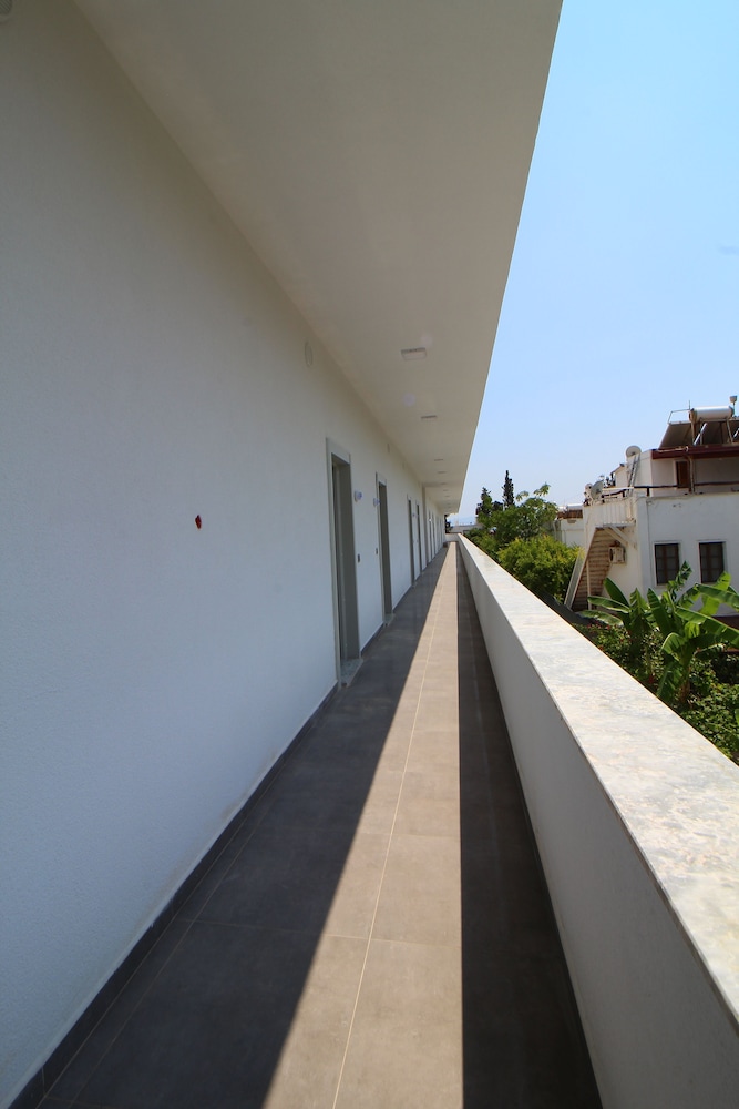 Photo 44