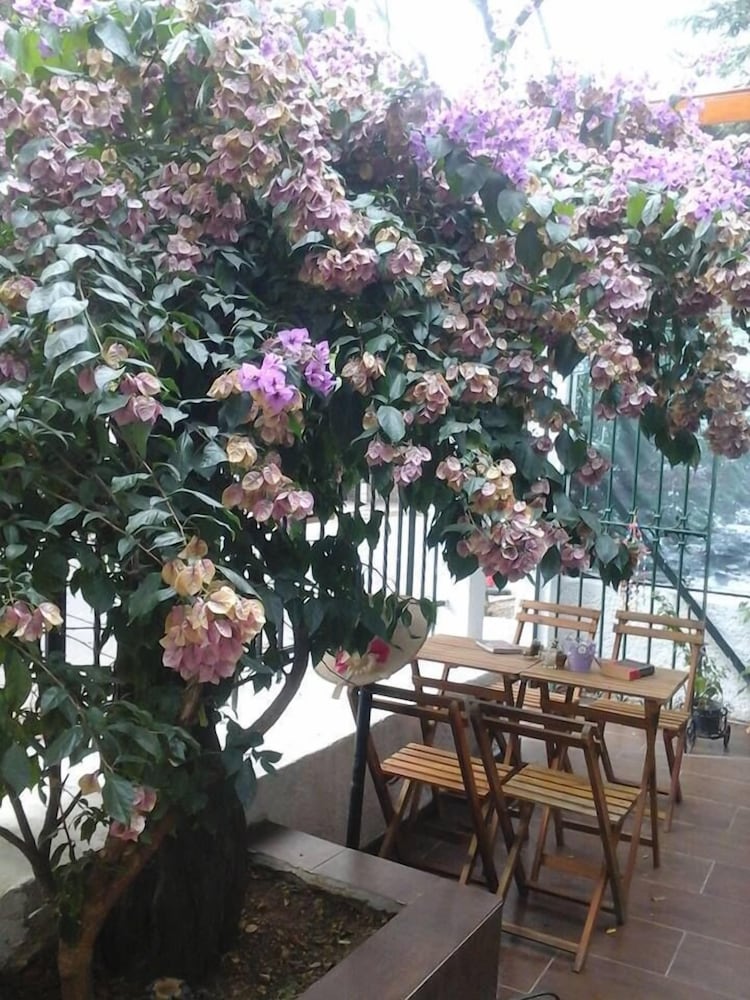 Orhan Kutbay'in Evi Turyolu Cafe Pansiyon