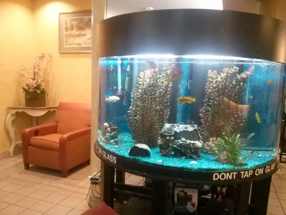 Hotel Val U Stay Inn and Suites - Image 1