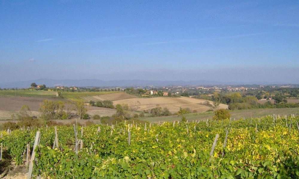 Tenuta S. Agnese view 5