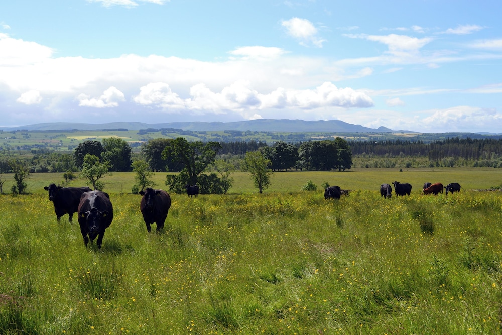 Cardross Estate Holiday Cottages