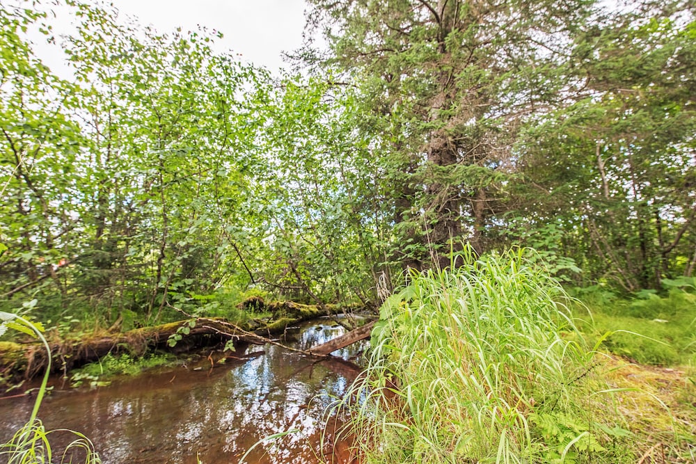 Secluded Seward Home: Patio, 2 Mi to Kenai Fjords! view 3