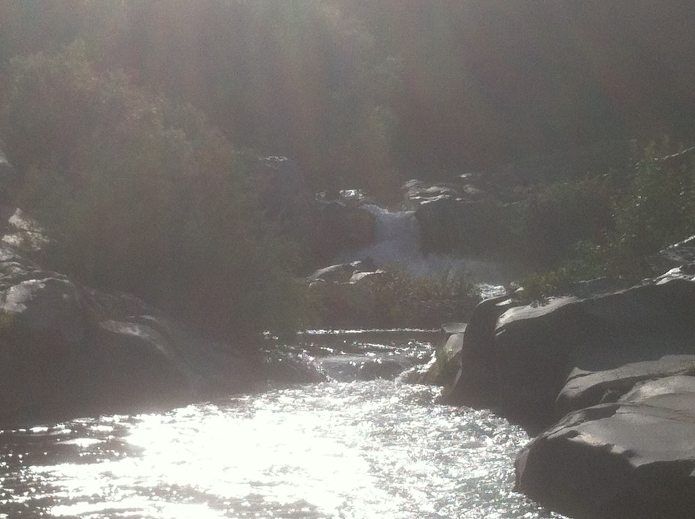 Photo 37