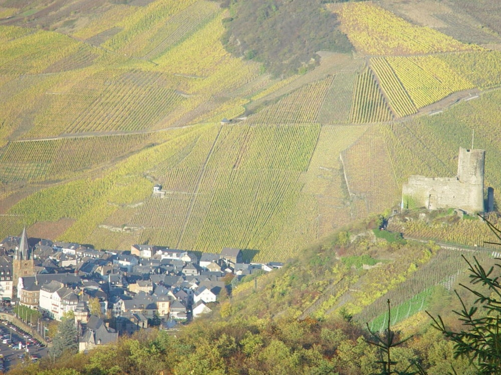 Anton Zimmermann Winery