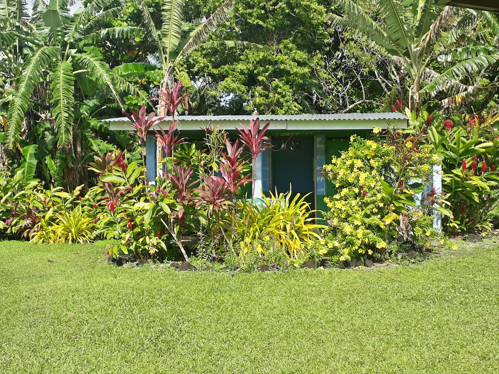 Photo 16