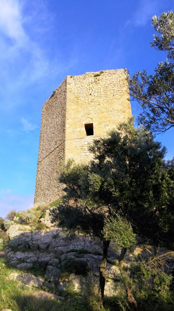 Photo 25