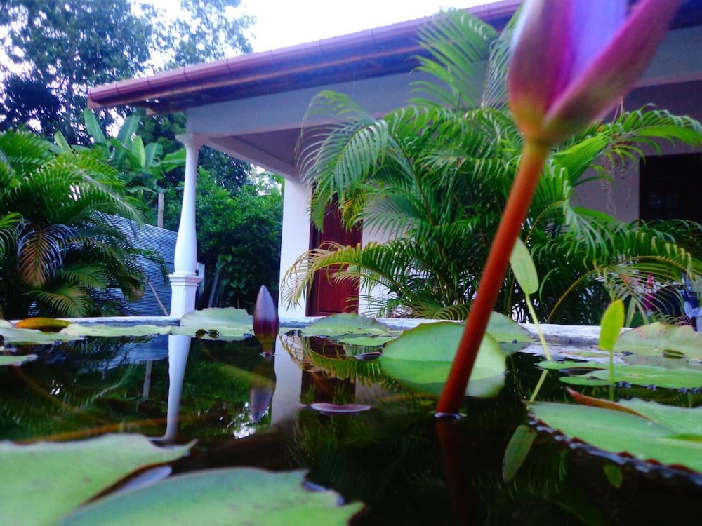 Lal HomeStay