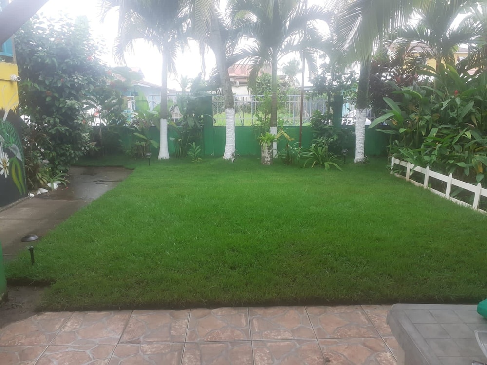 Photo 23