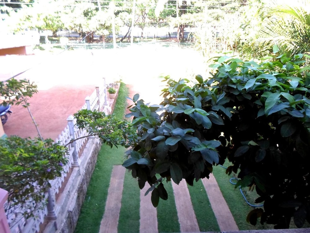 Photo 45