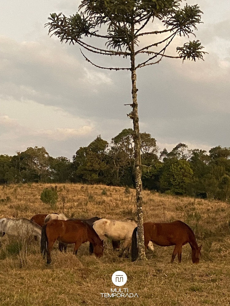 Via Kairos - Rancho Queimado - SC