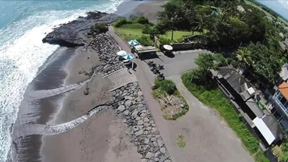 Premier Surf Camp