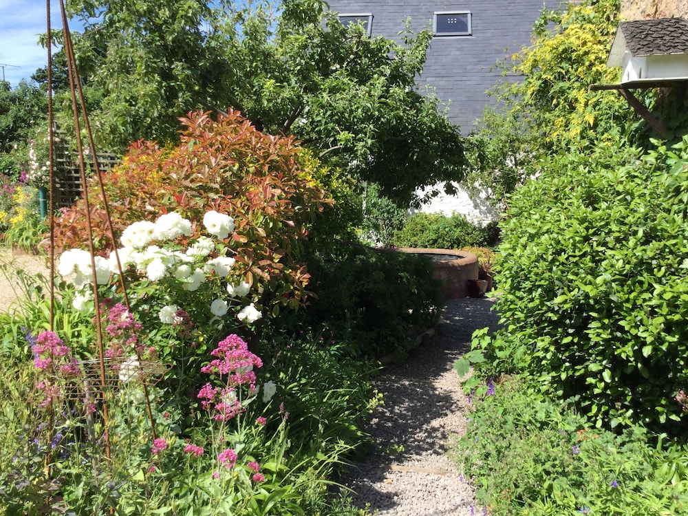 Photo 43