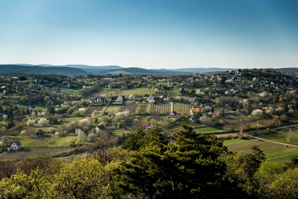 Balaton View From Almadi