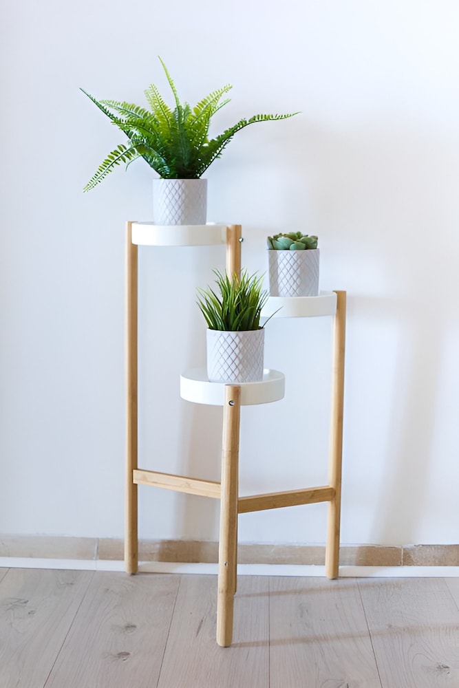 Mar Studio in Meta