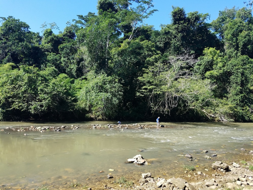 Belize Vacations - Table Rock Jungle Lodge - Property Image 10