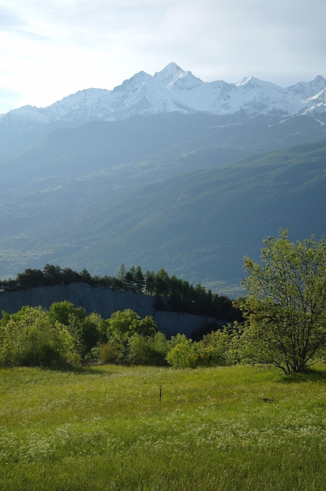 Le Vieux Noyer