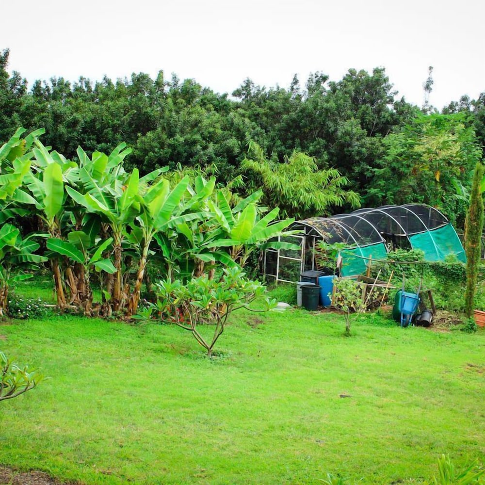 Banyan Tree Sanctuary