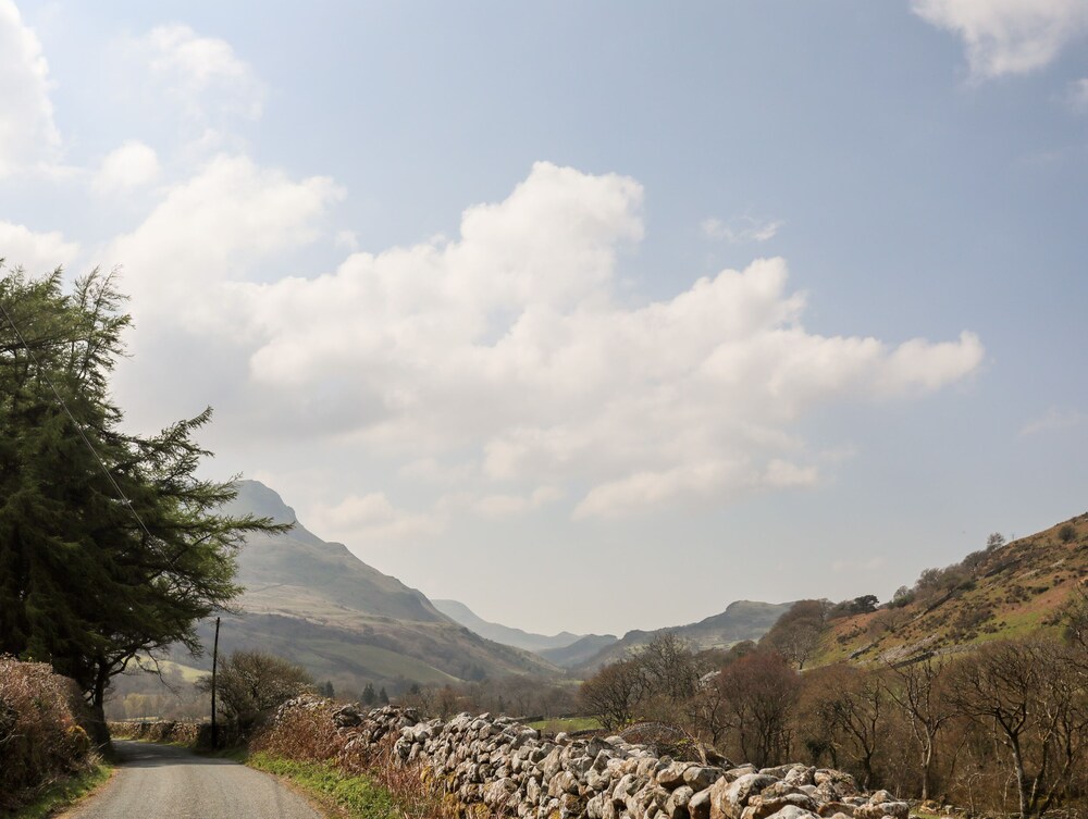 Gilfachwydd
