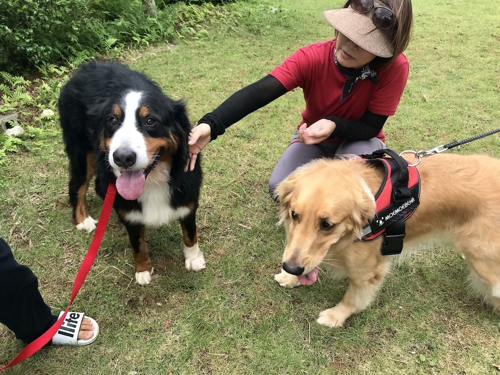 human