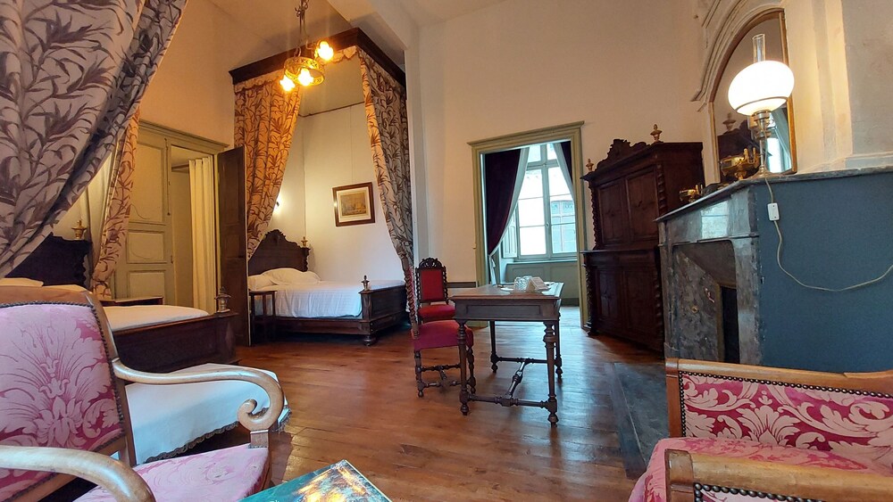Château de Ternay view 4