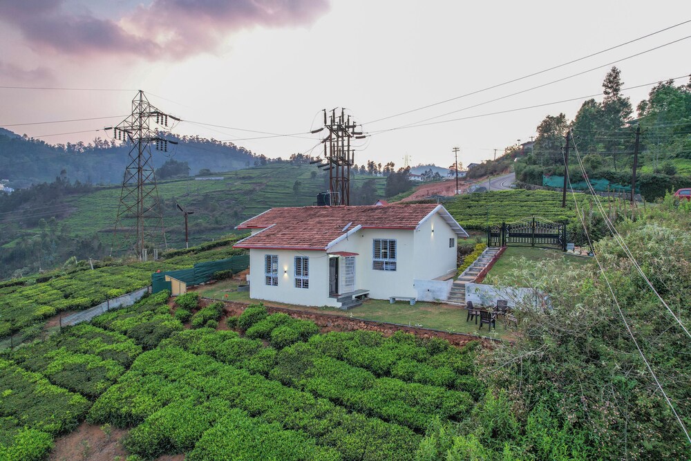 The springs Nilgiris