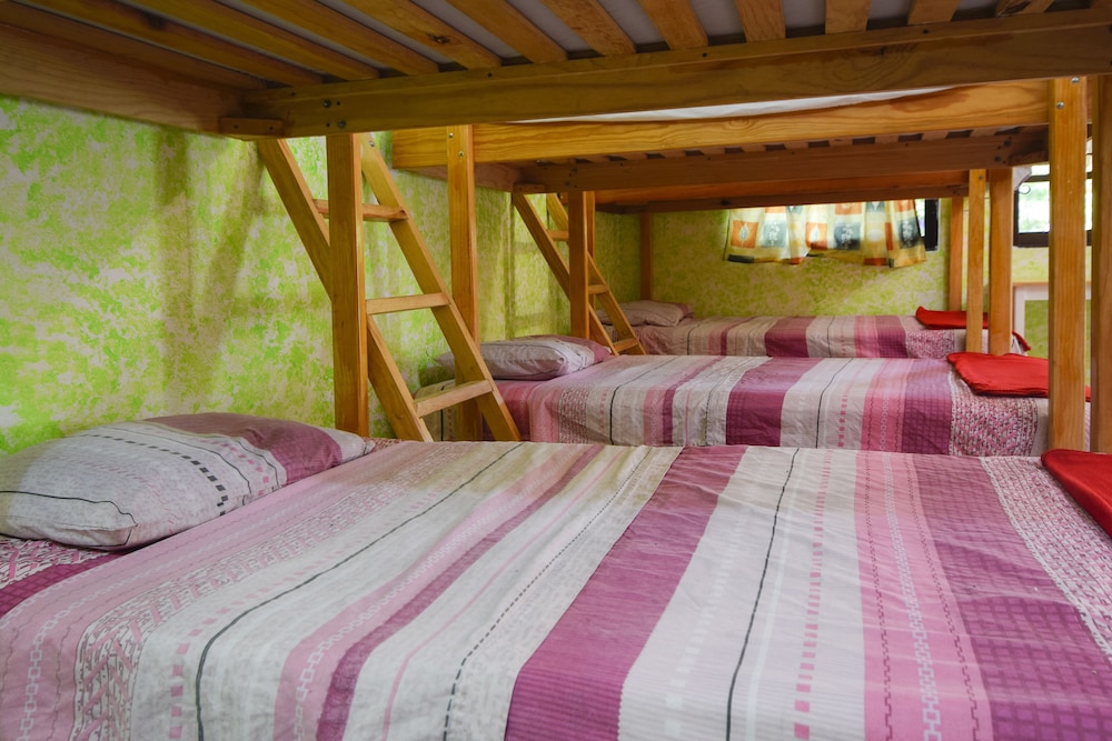 Auberge de jeunesse Friends Hostel Cozumel — photo 3