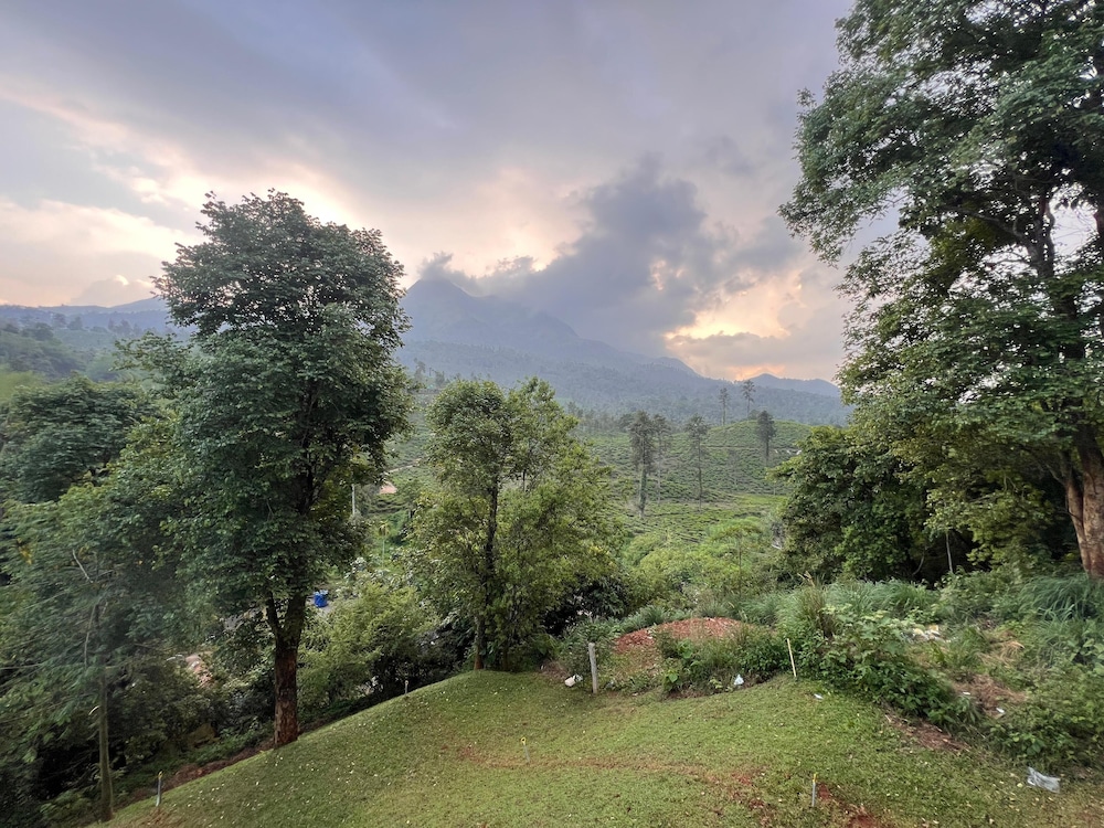 Mountain Serenity