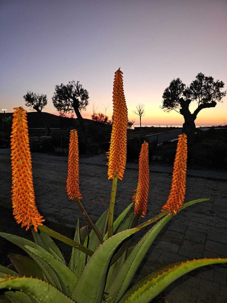 Cape of Rodon Resort Green Village