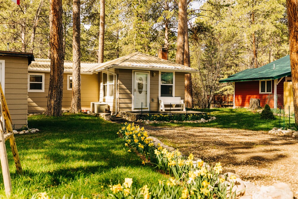 Serene Creek Side Cottage Retreat - Property Image 4