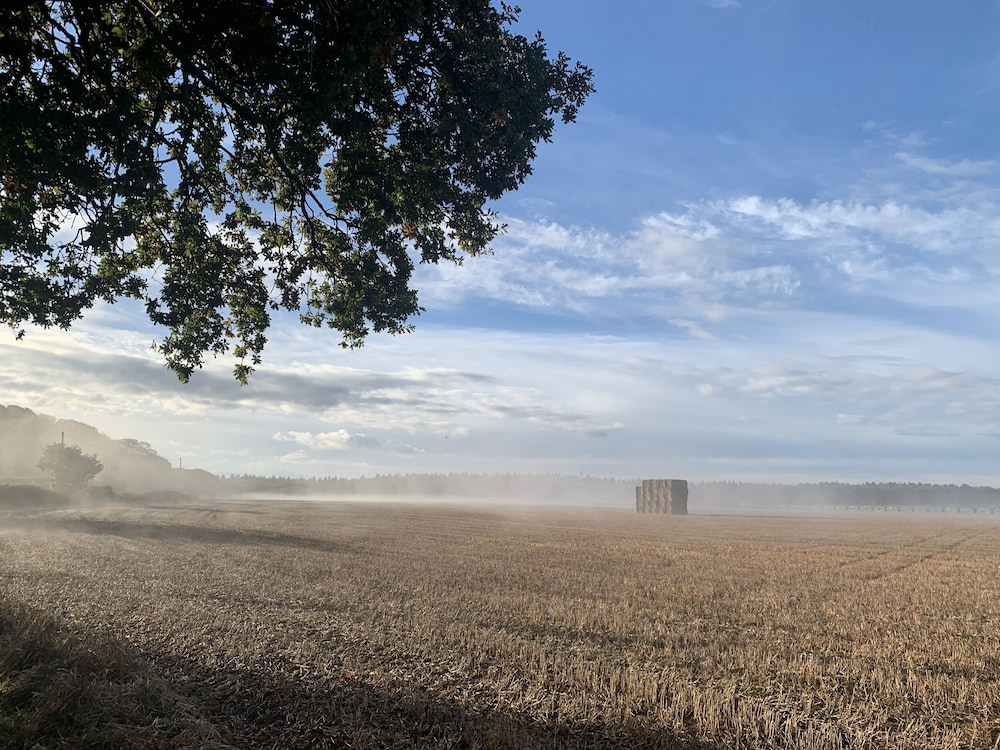 The Little Hay Barn