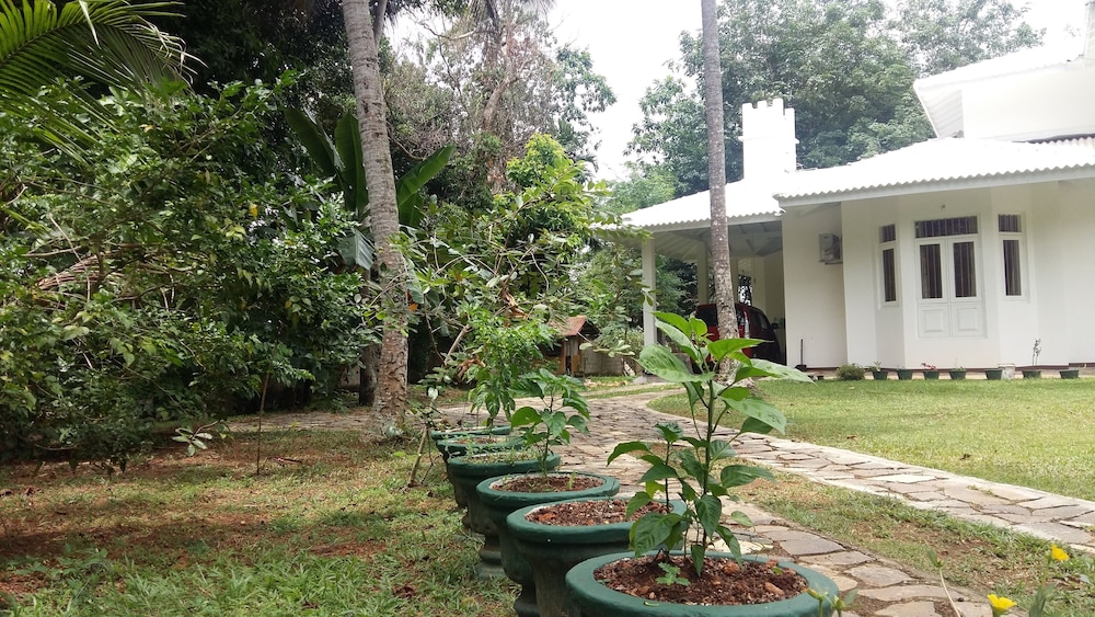 Photo 22