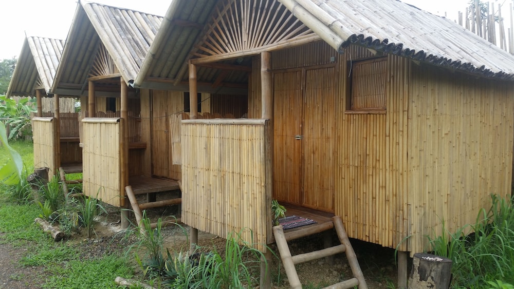 Banana Grove Backpackers Inn