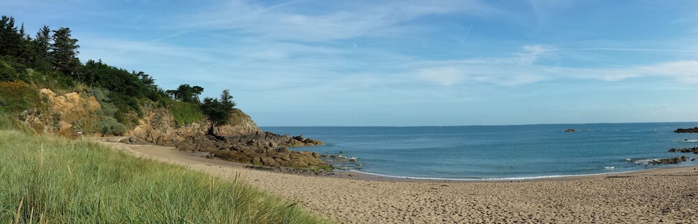 Photo 42