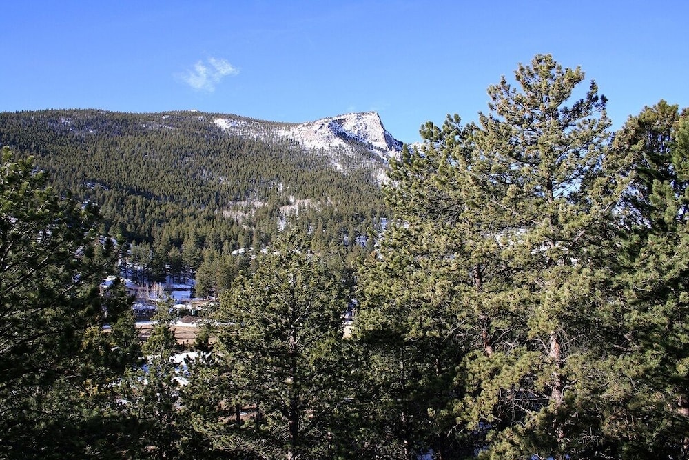Fawn Valley Inn: 277 2 Bedroom Condo view 2