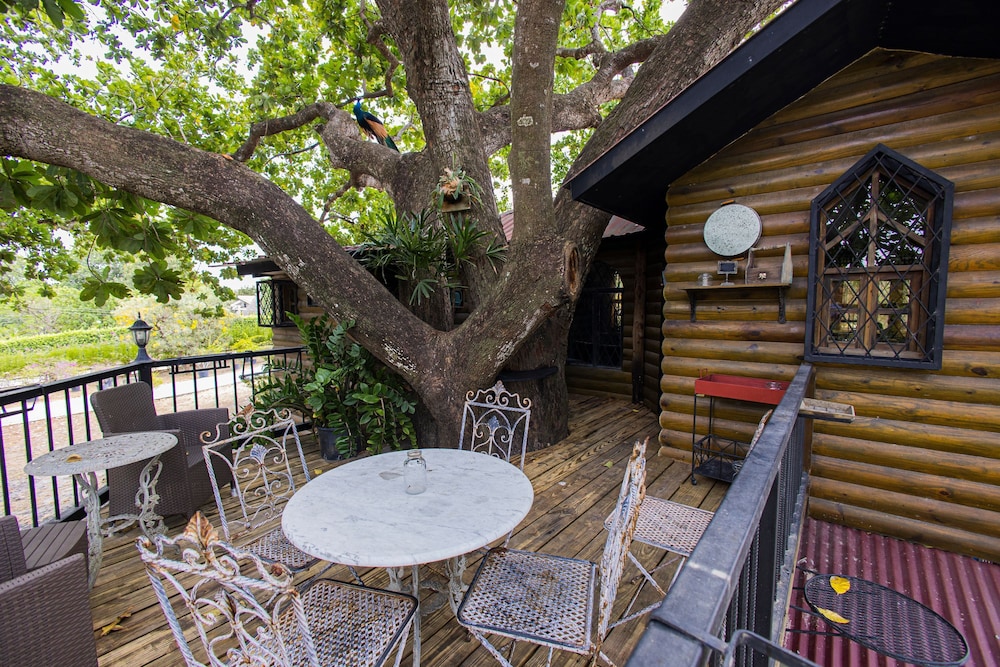 Quinta Pavo Real by Acomodo