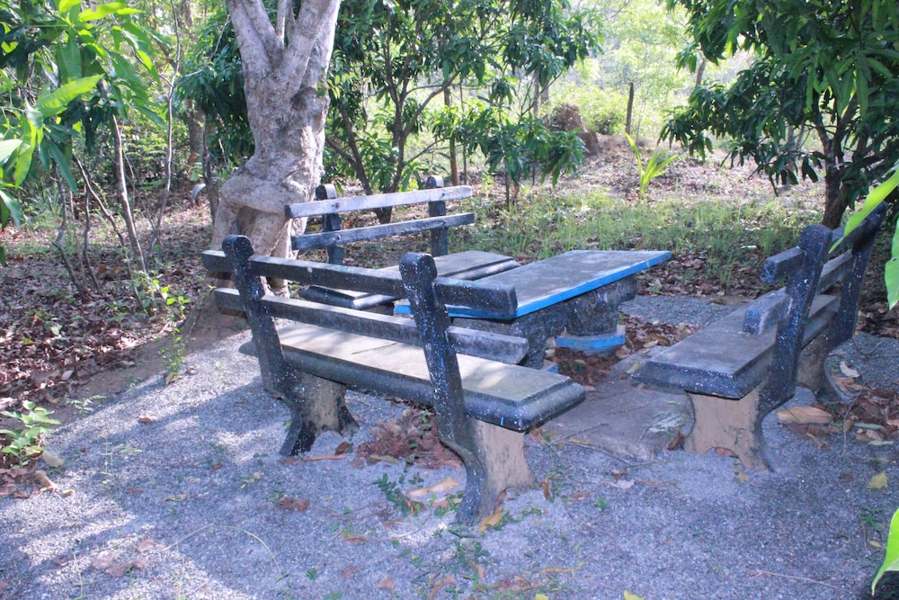 Photo 11