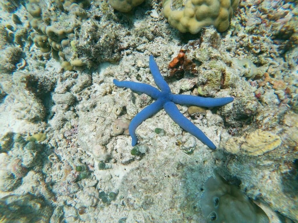 Photo 26