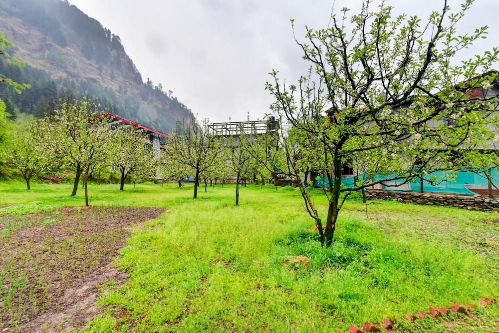 Rigzin Nest Cottage Manali