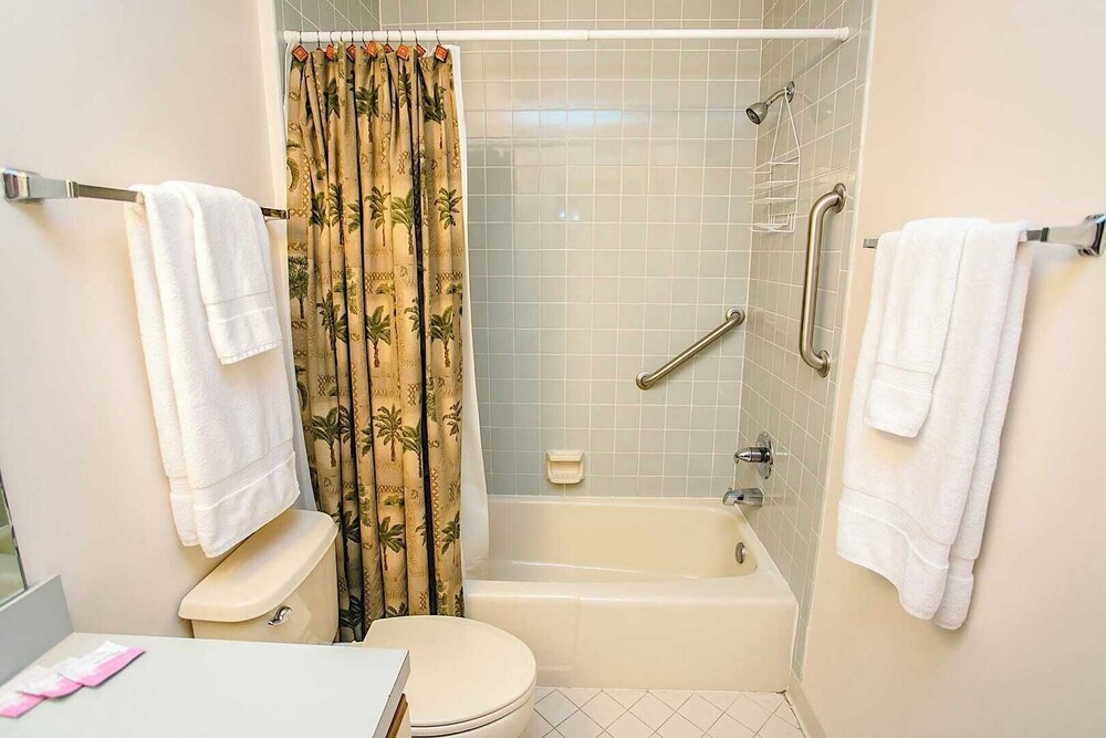 Unwind at St Augustine's Beachfront Oasis