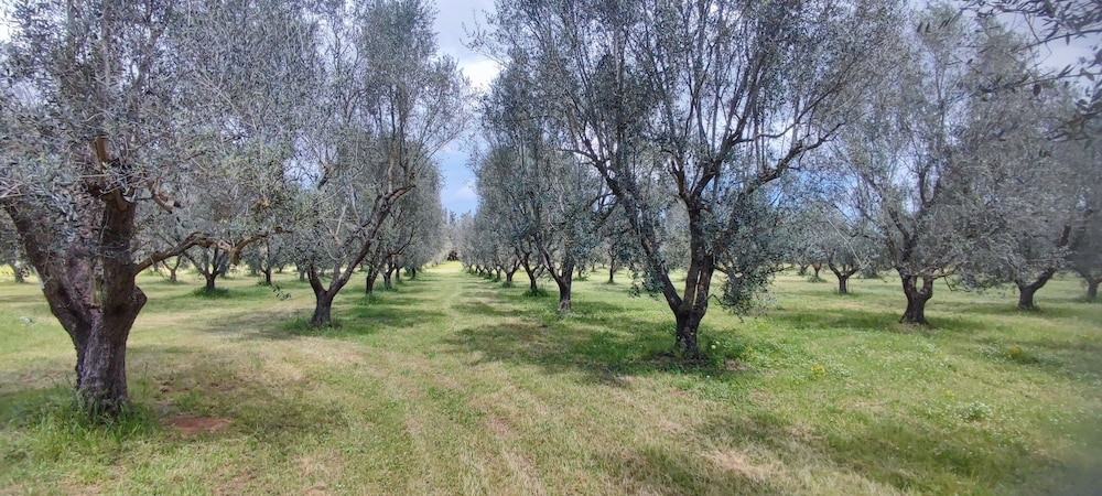 Dimora Donna Rita