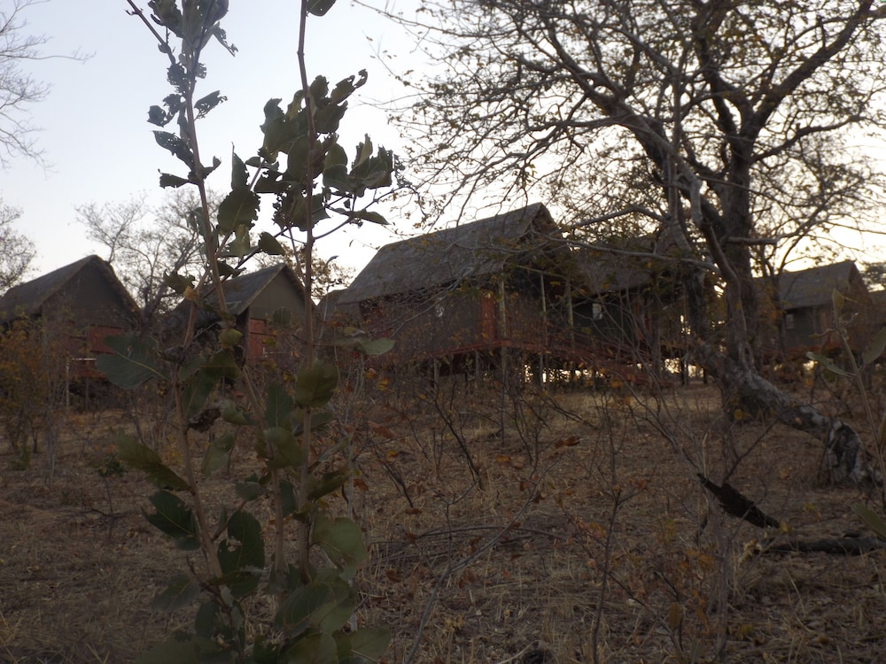 Lion Roars Lodge