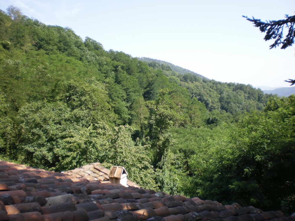 Photo 22