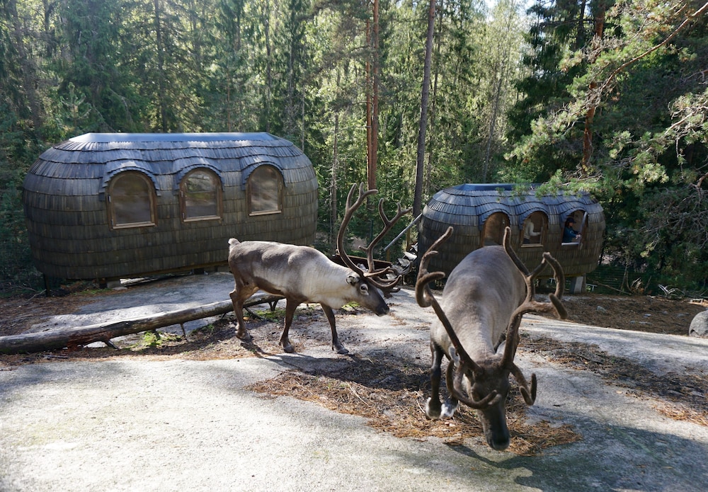 Espoo Vacations - Igluhut sleeping with reindeer - Property Image 1