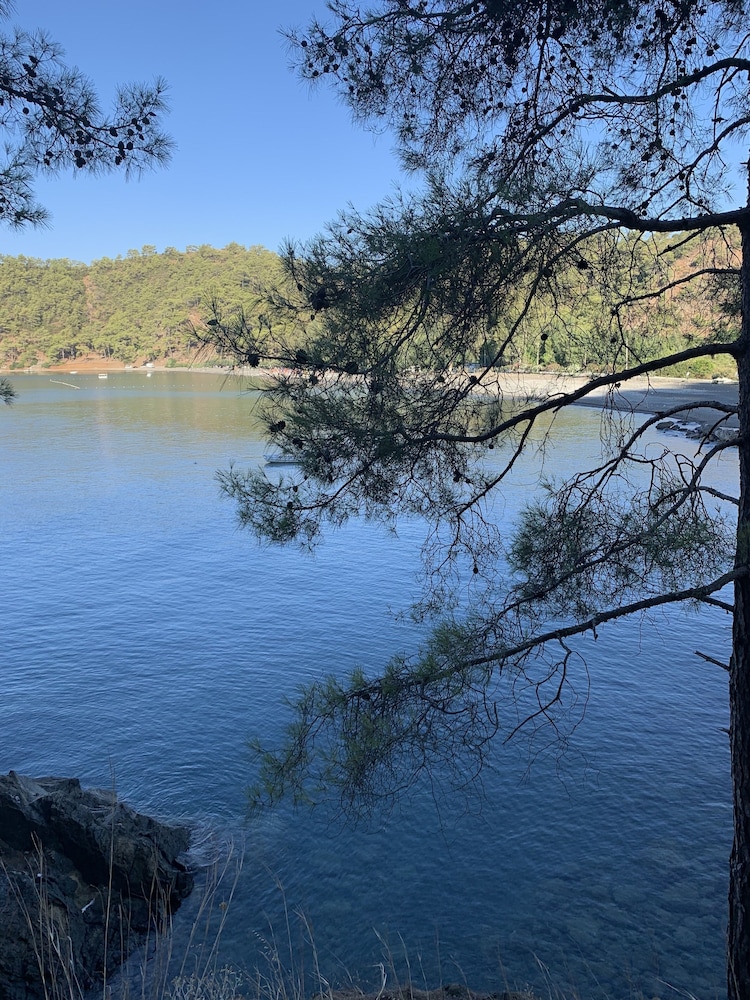 Layla Gocek - Yetişkinlere Özel - Image 136