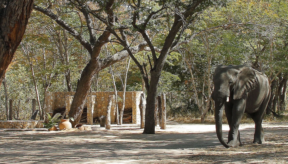 Gwango Elephant Lodge