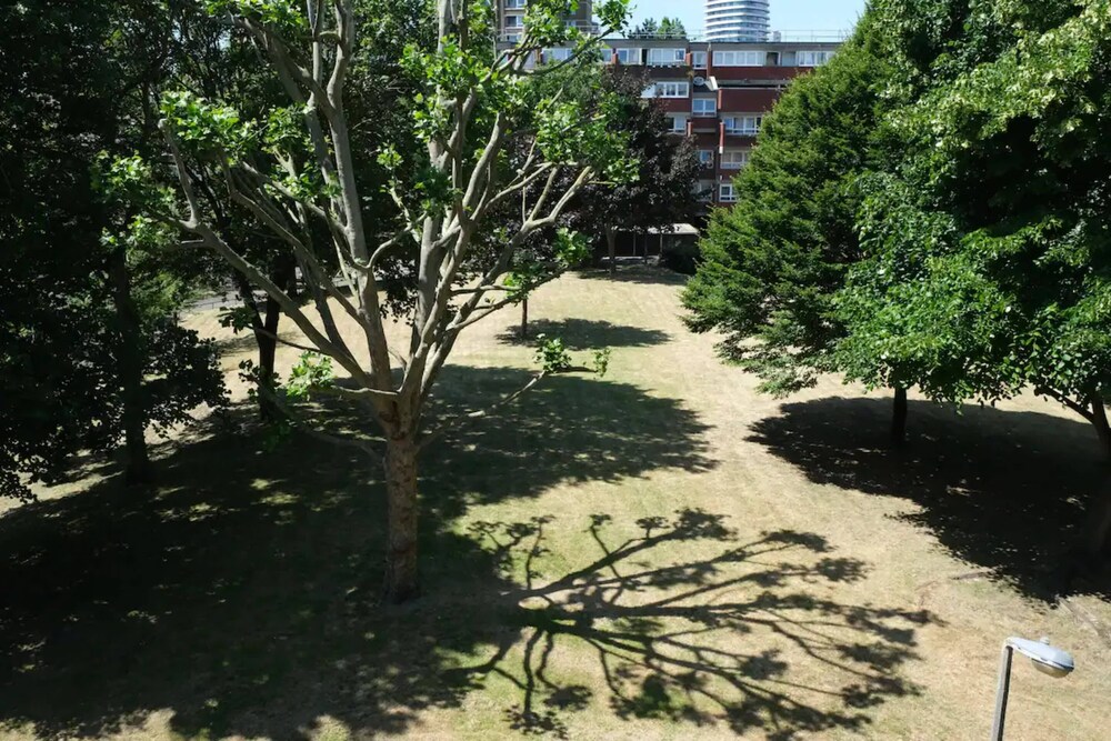 Spacious 3 Bedroom Apartment in Battersea With Terrace