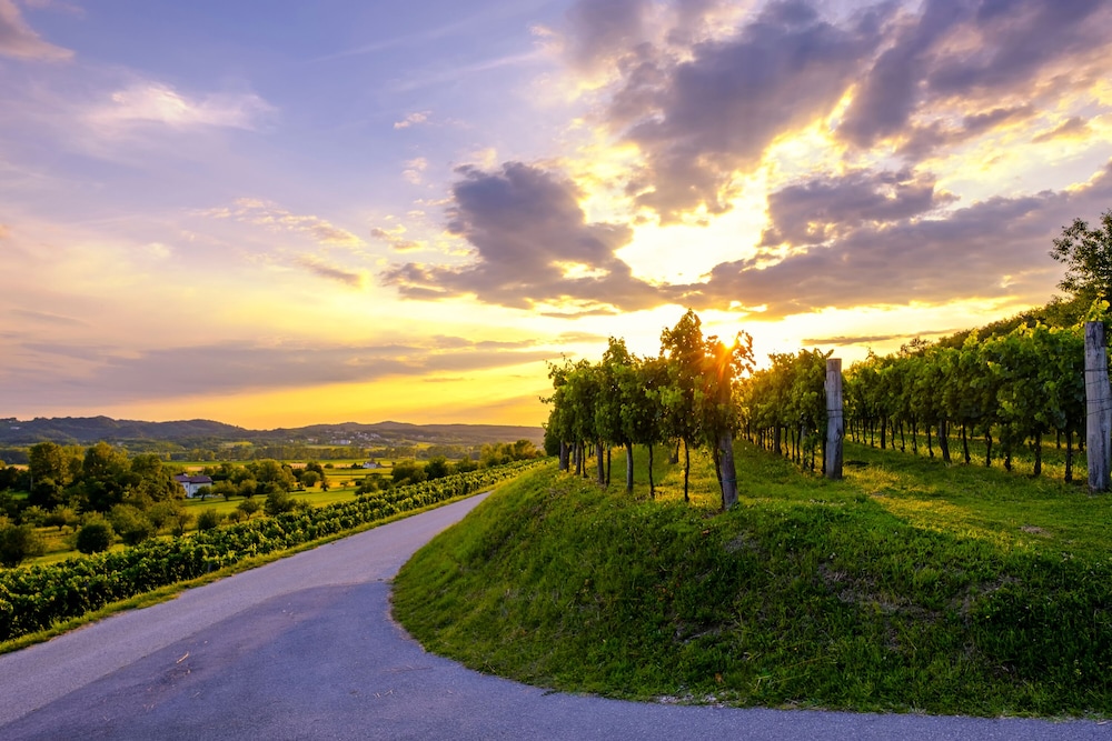 Vipava River Retreat